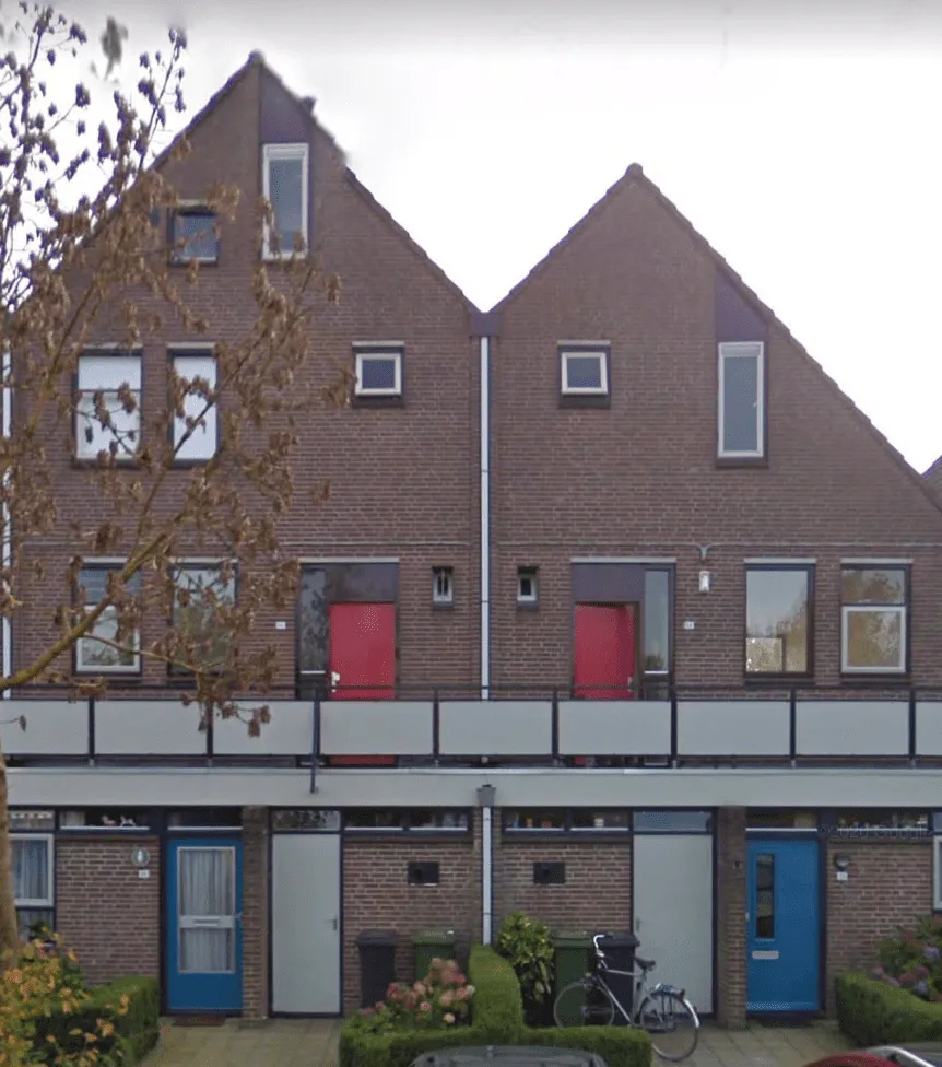 Boekweitveld
