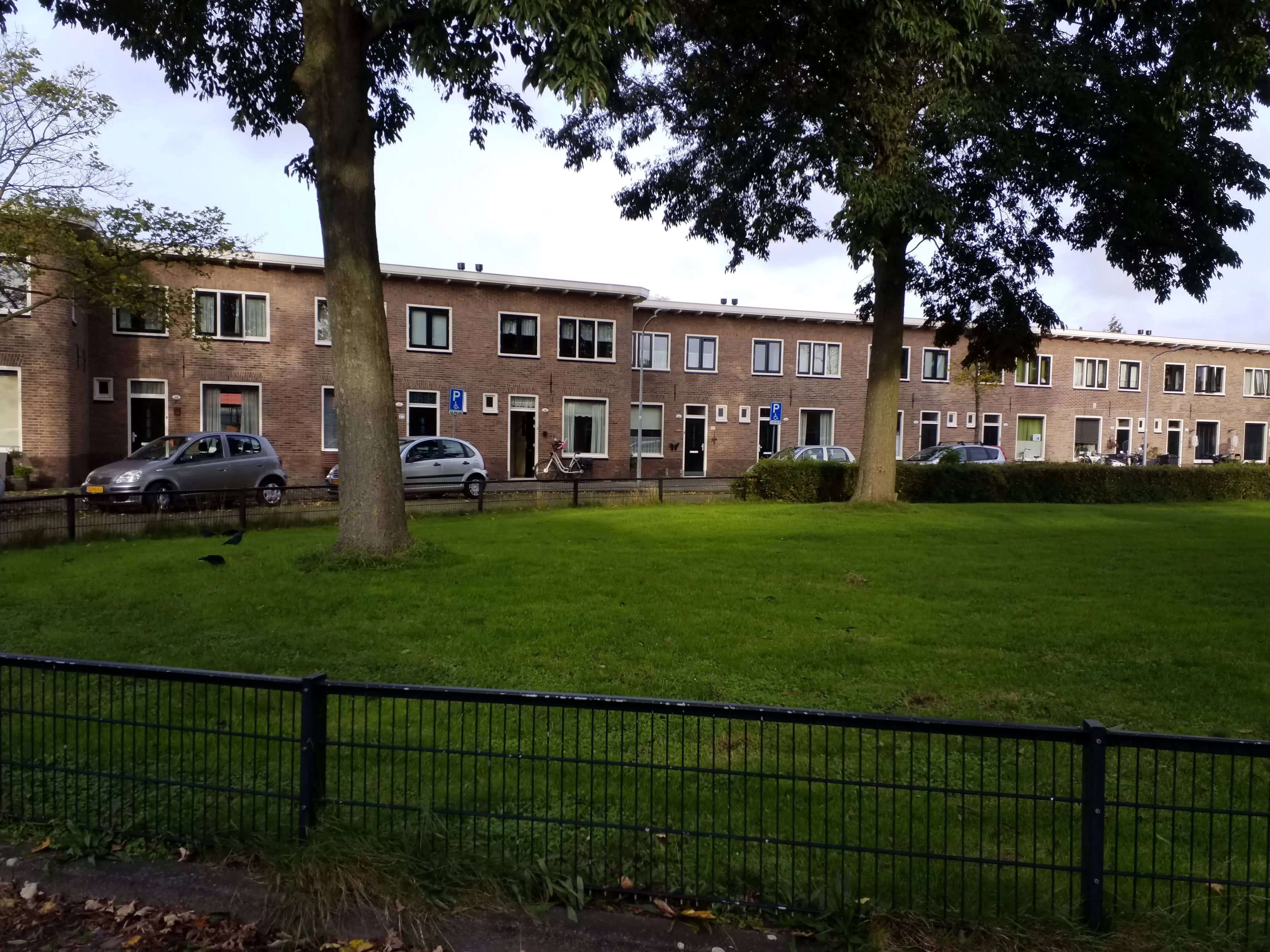 Elzenplein