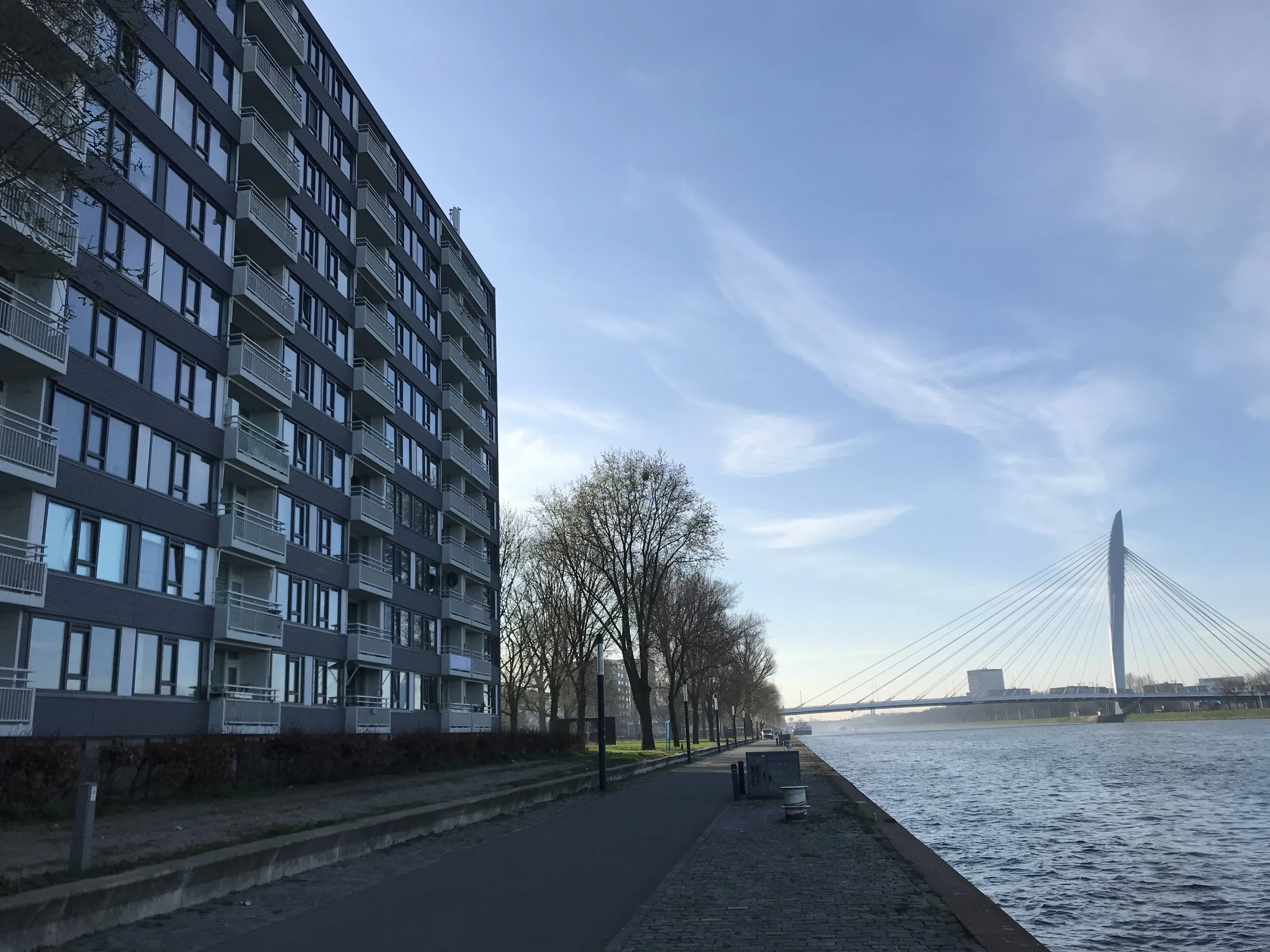 Rooseveltlaan