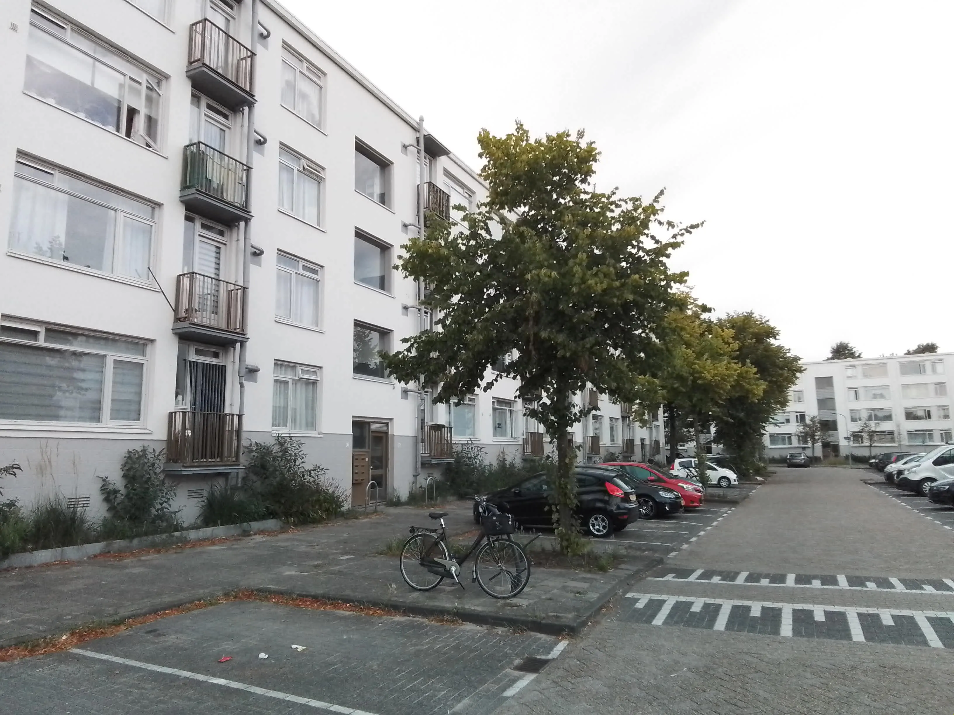 Van Loghemstraat