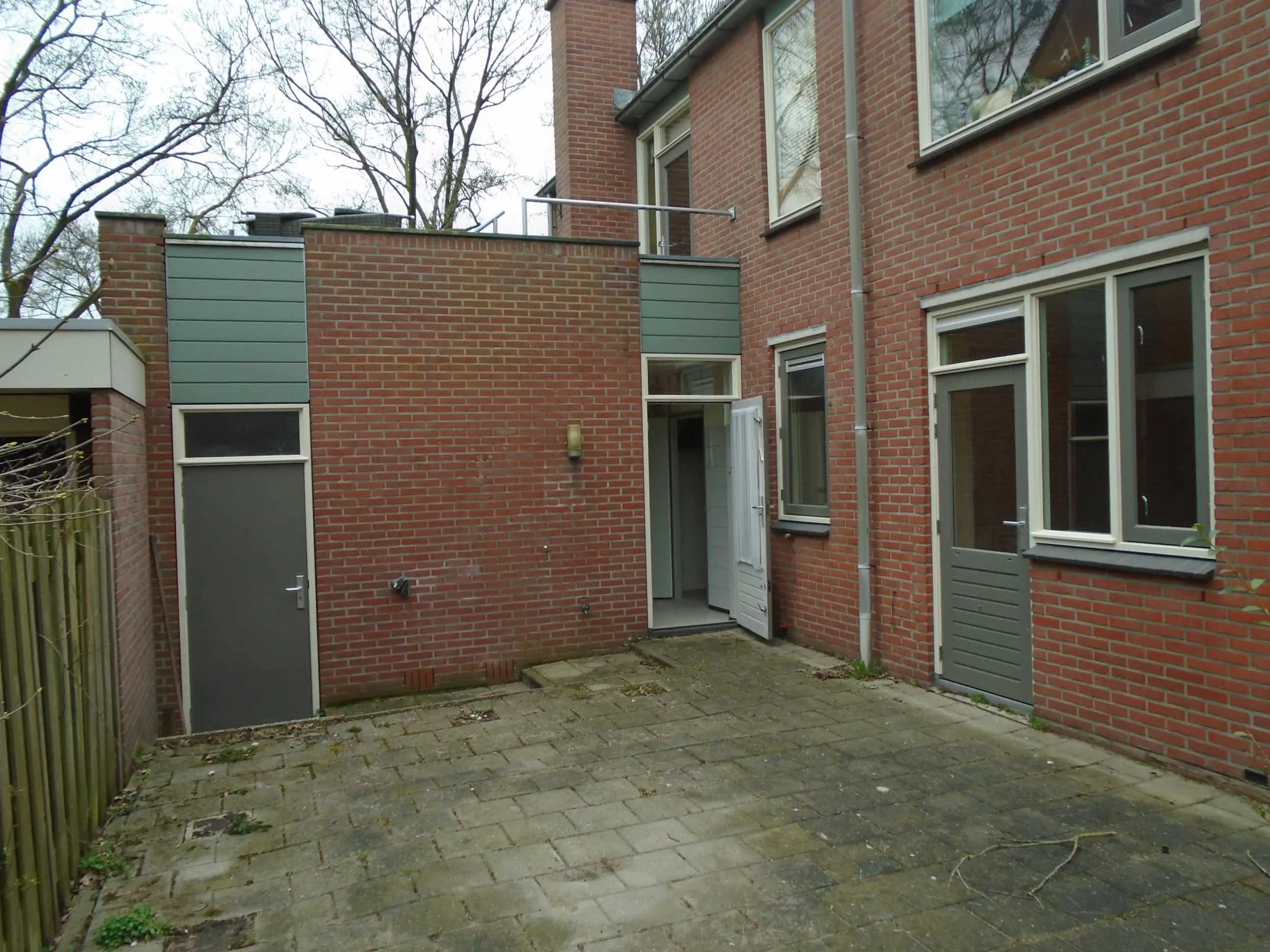 Scholekster