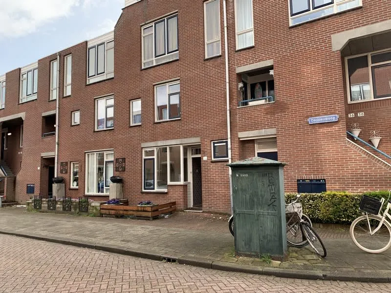 Dagpauwoog