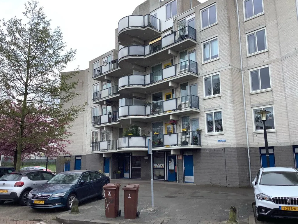 De Wadden