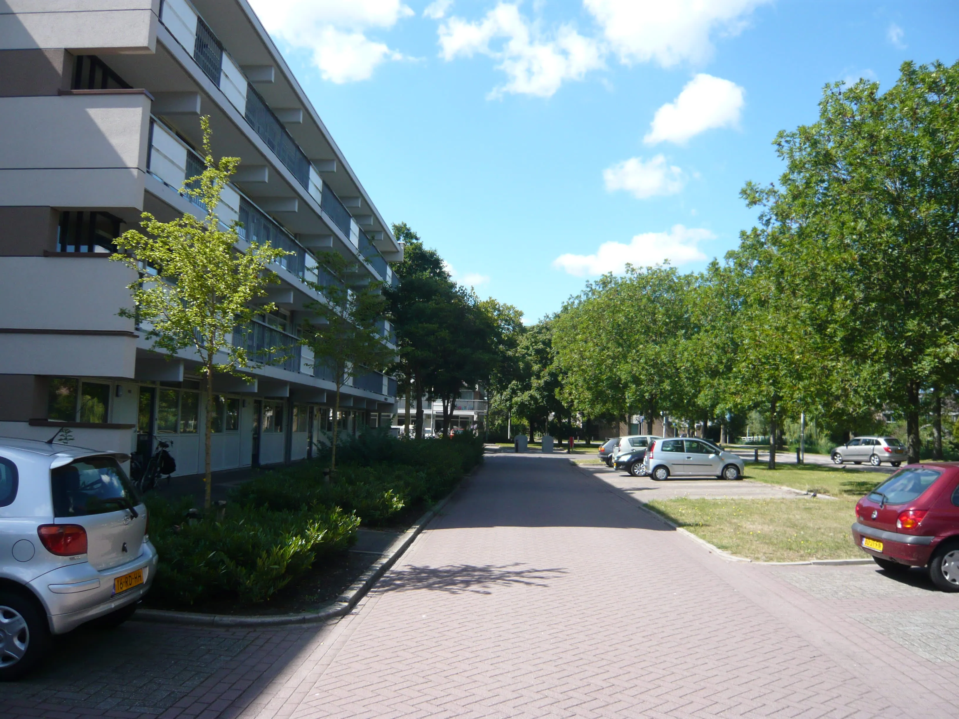 Wildemanakker