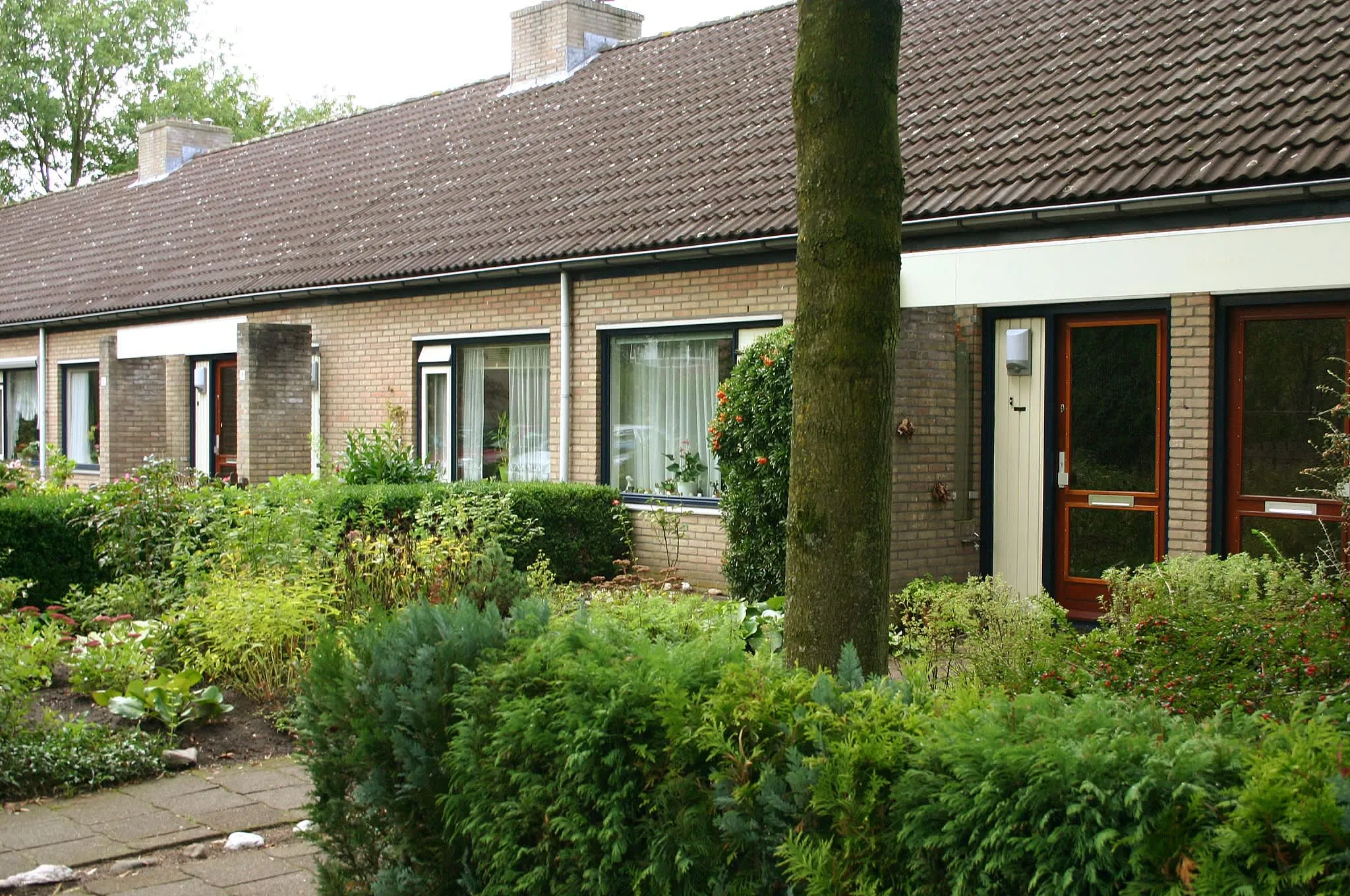 De Wouw