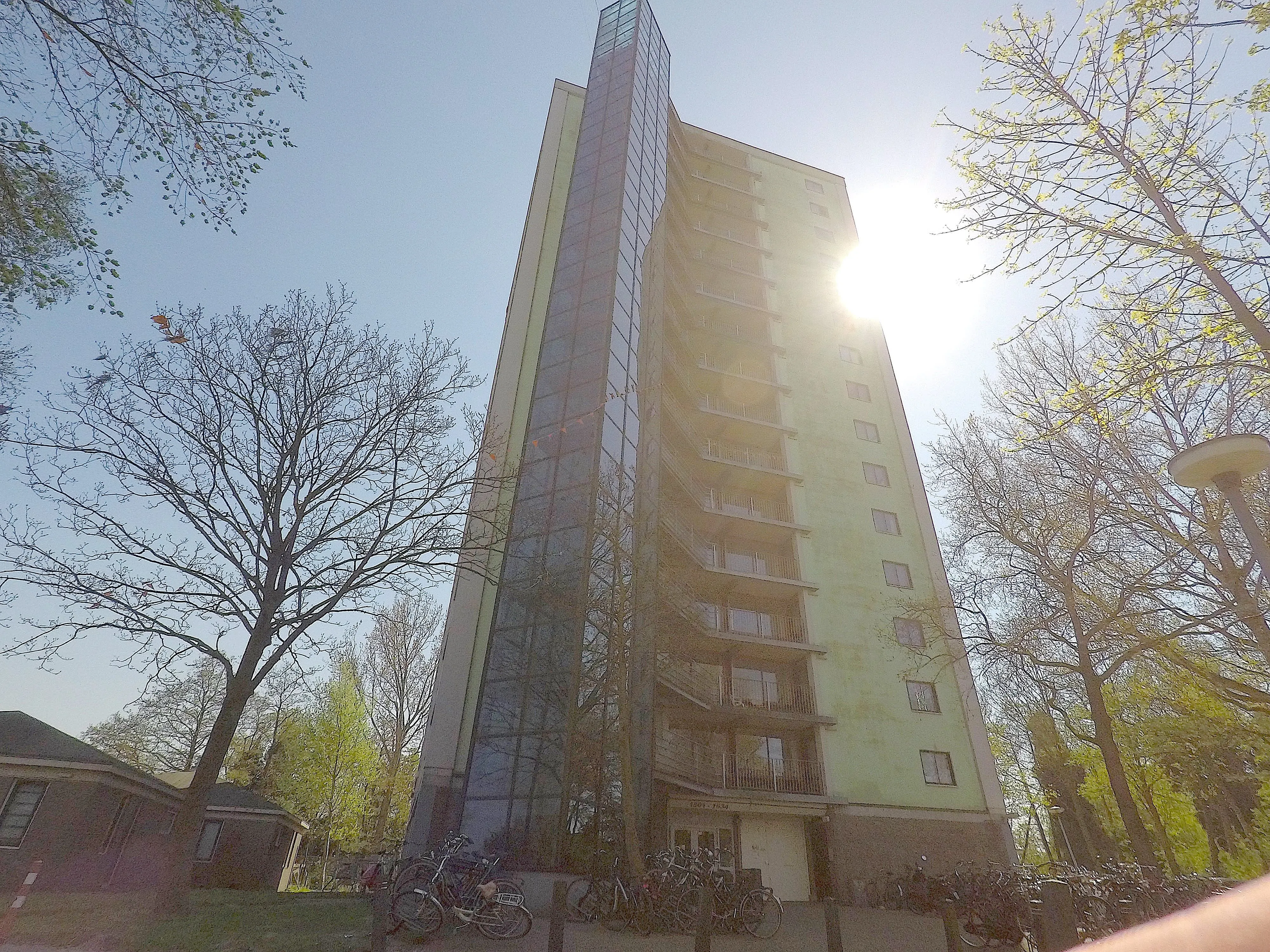 Rode Kruislaan