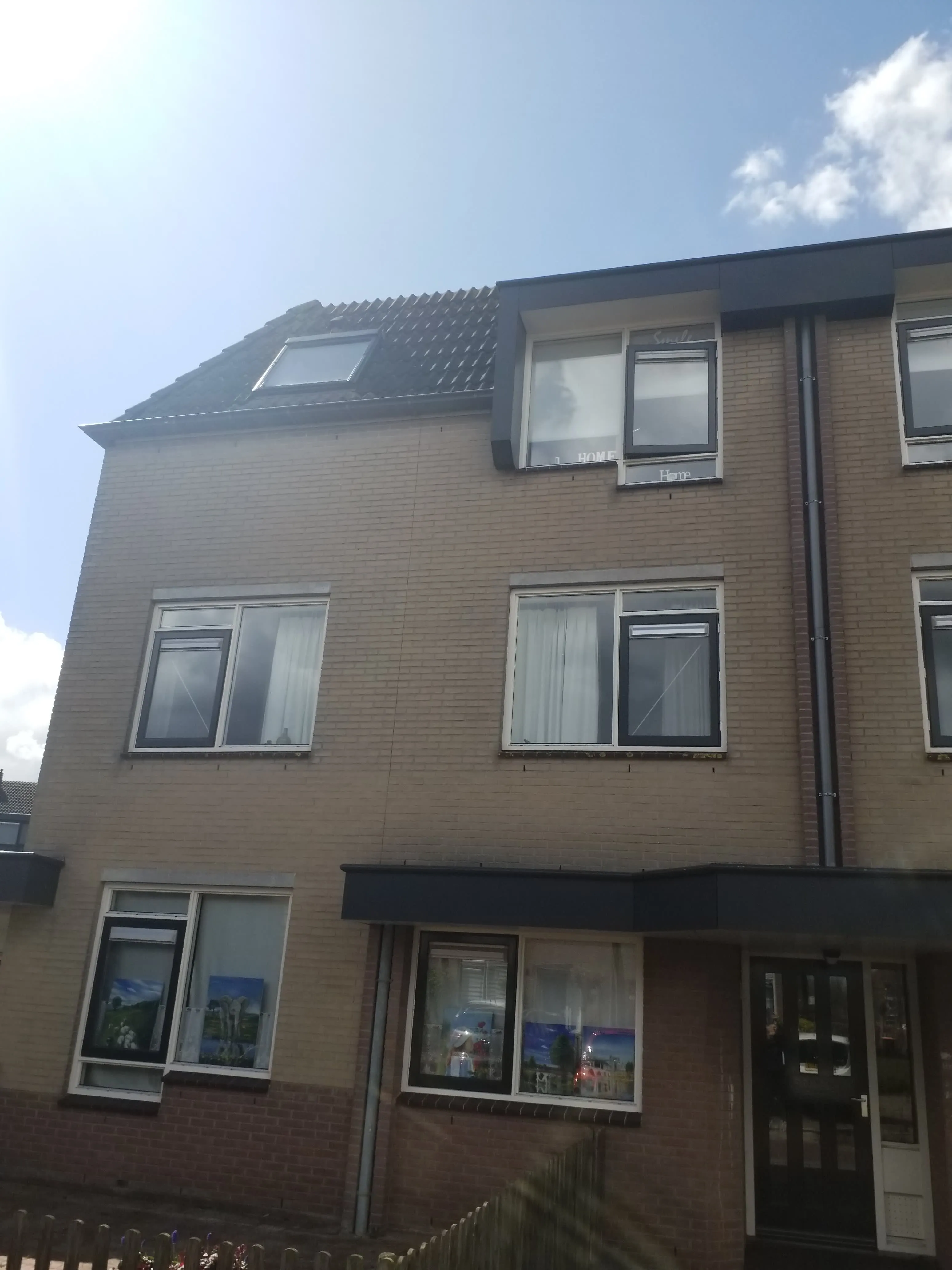 Scholekster