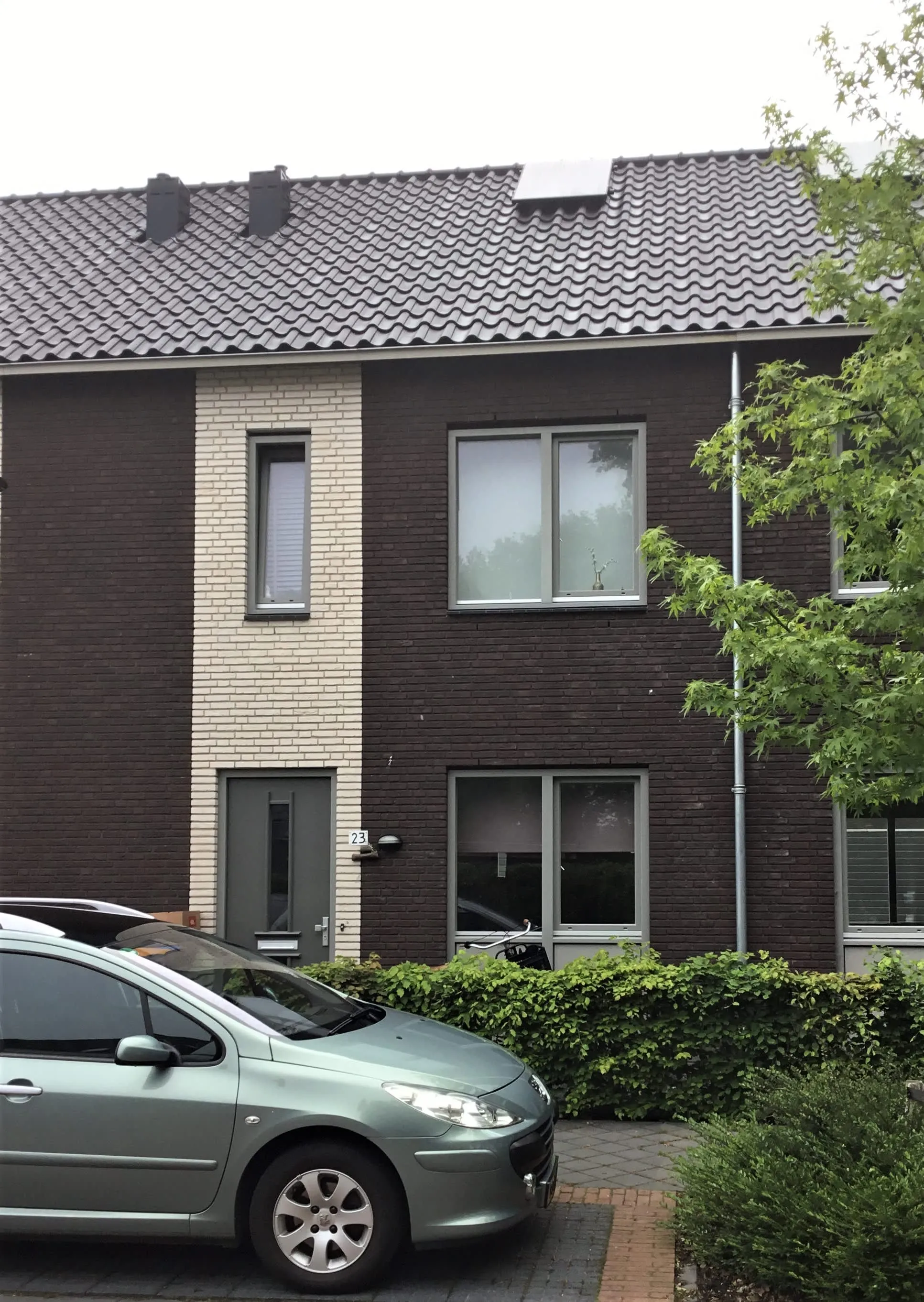 Scholeksterweide