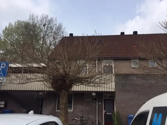 Eikelaar