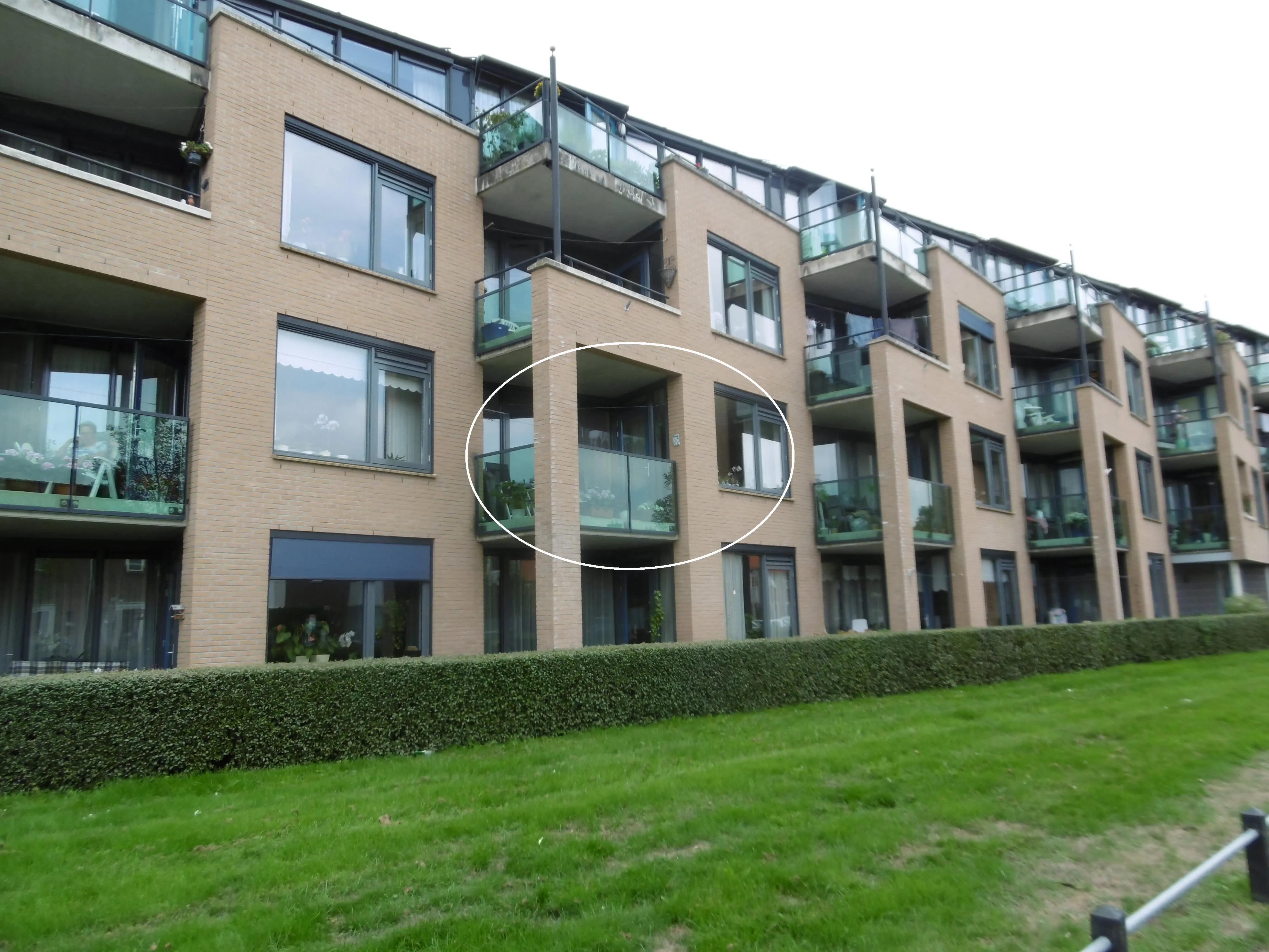 Reigerstraat