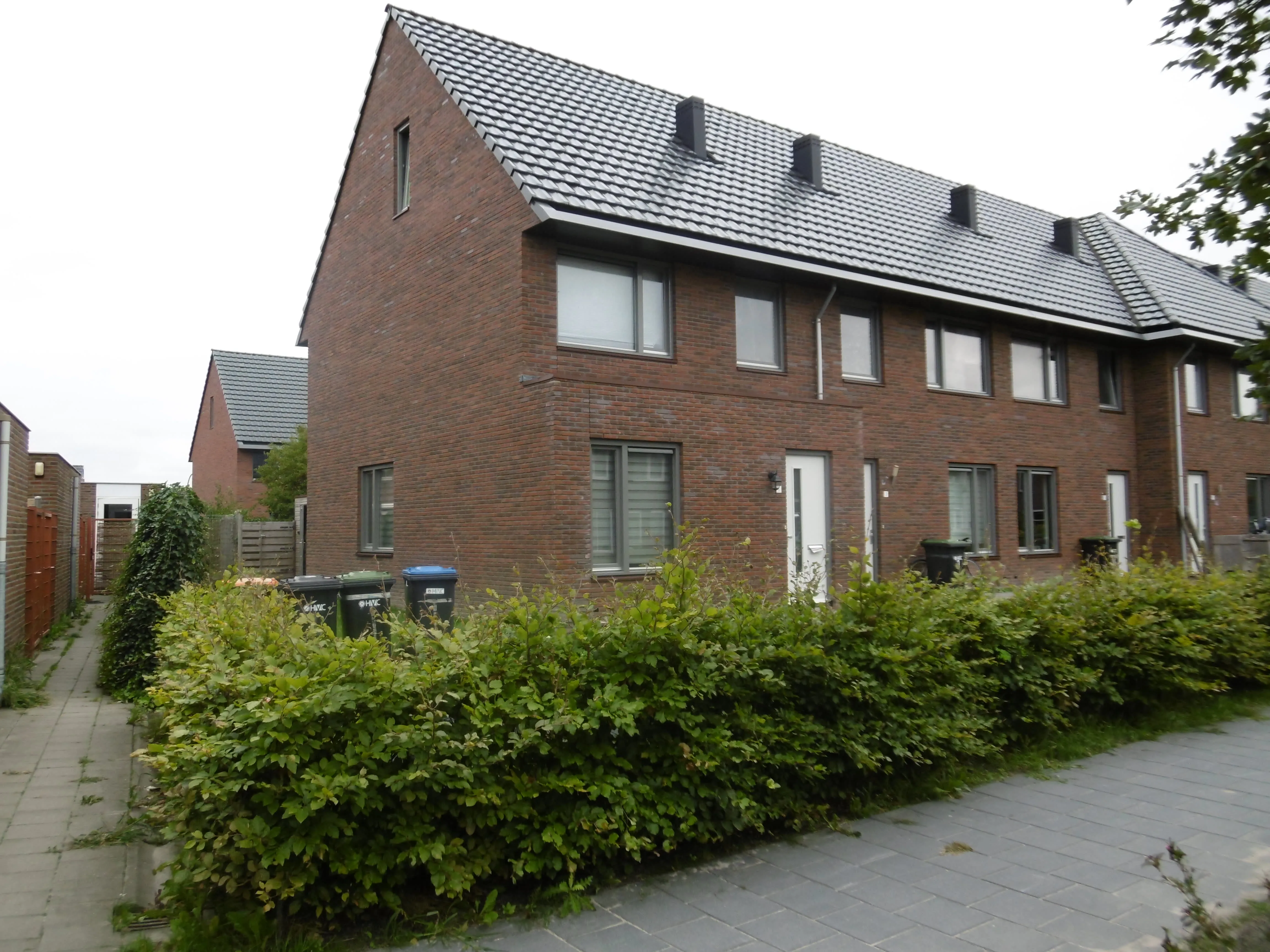 Picassohage