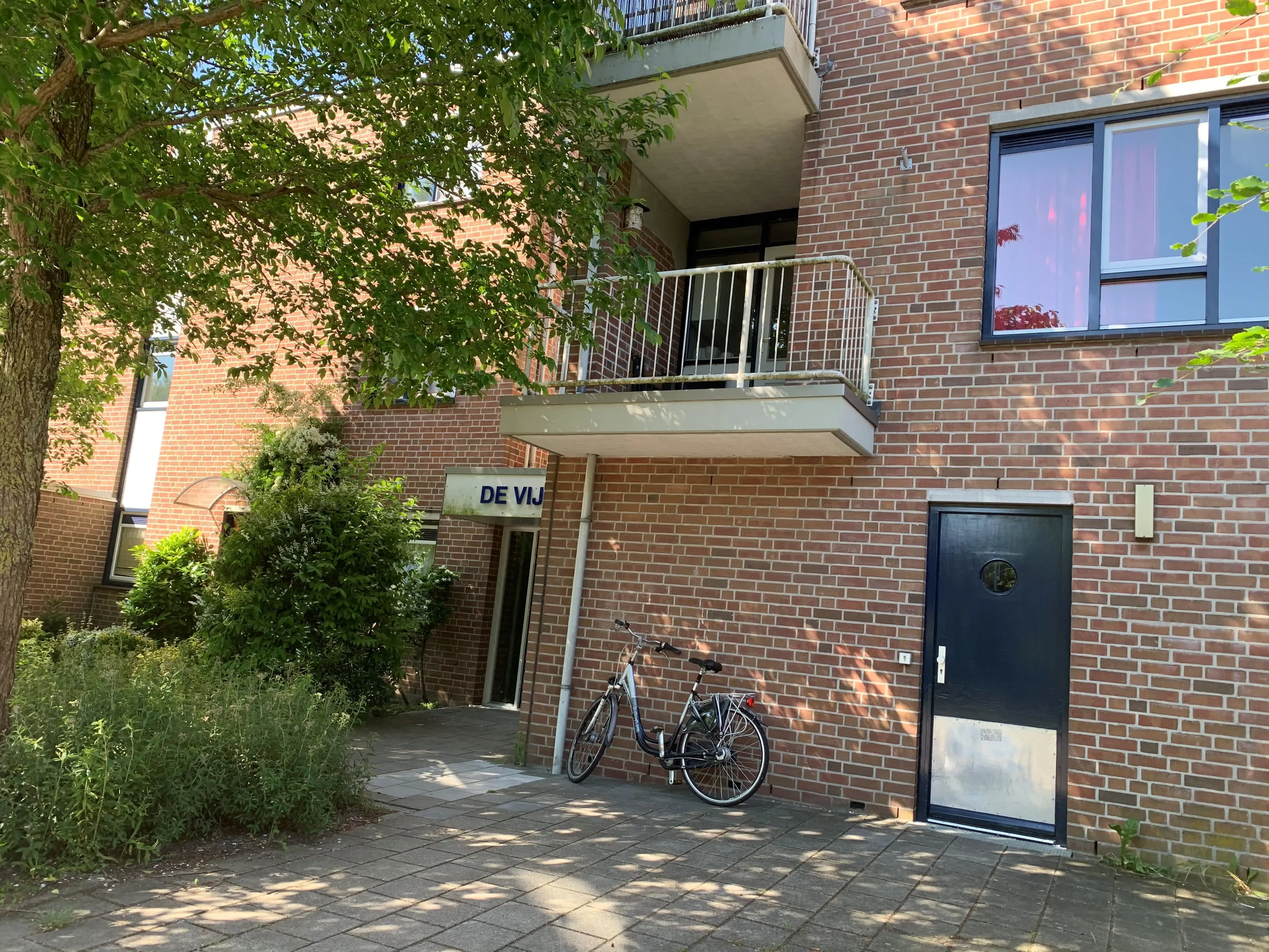 De Vijnen