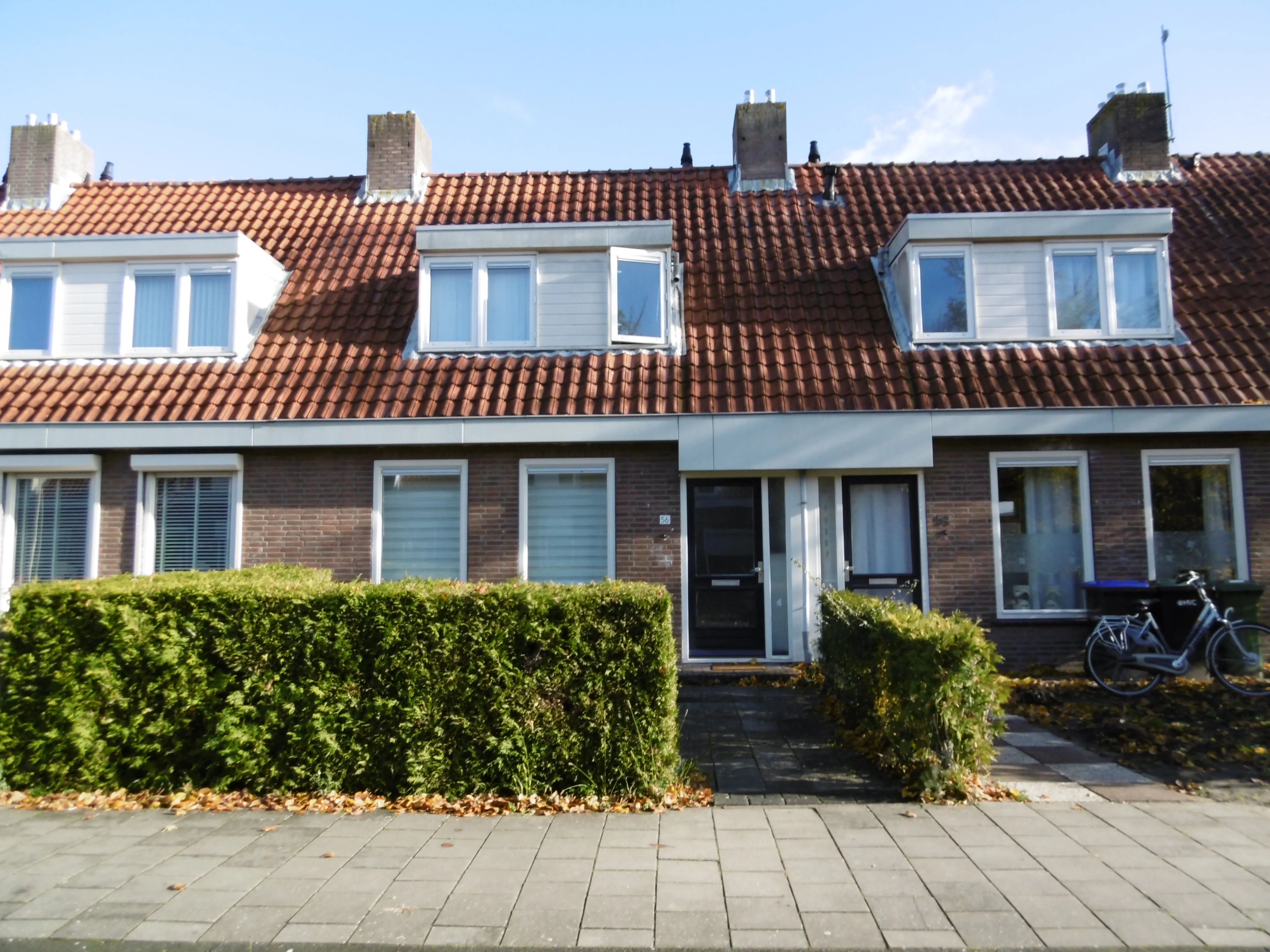 Rietstraat
