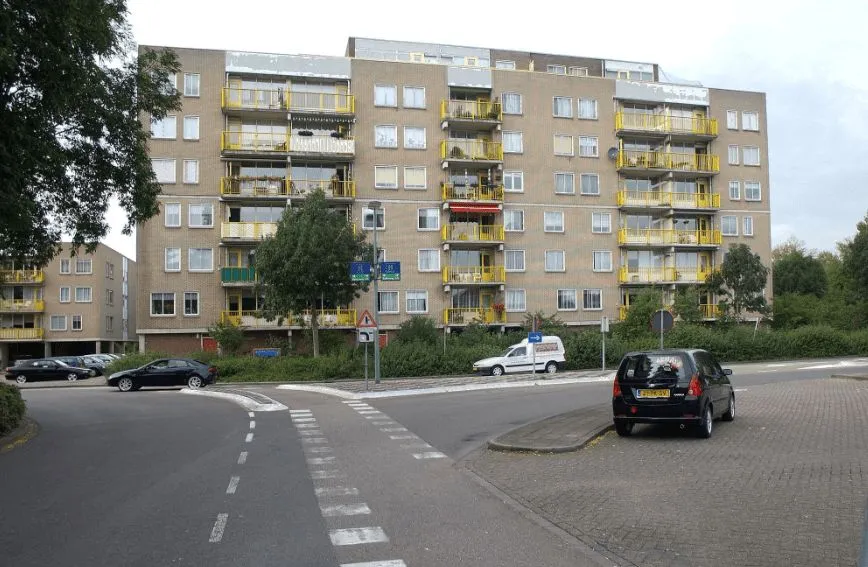 Bisonspoor