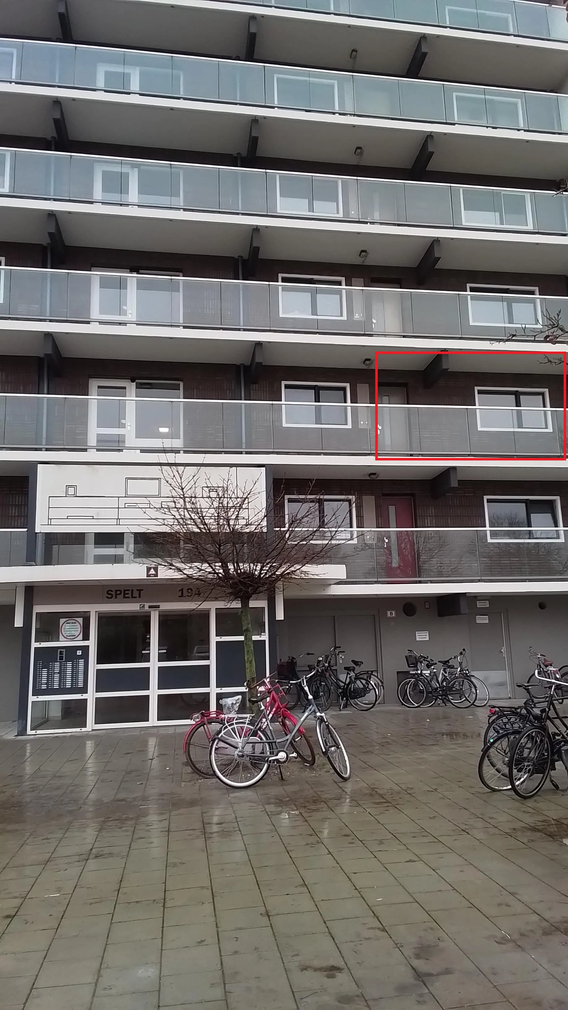 Graan voor Visch