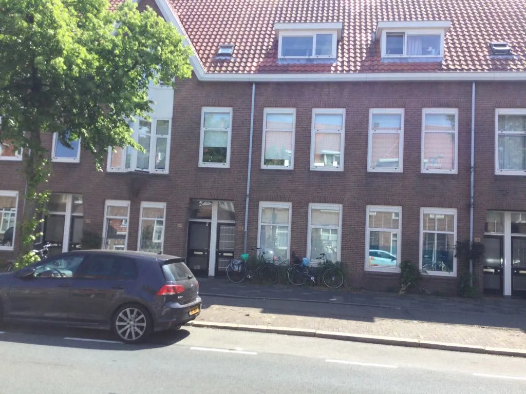 Rijnlaan
