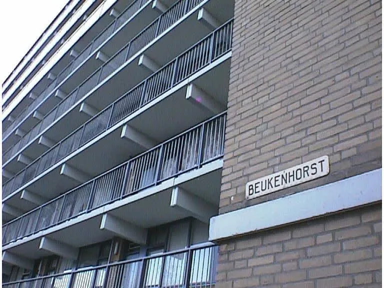Beukenhorst