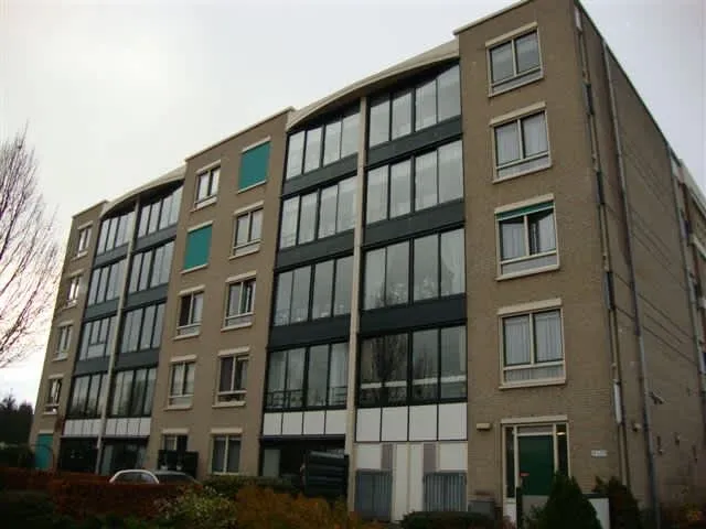 Zwaluwenstraat