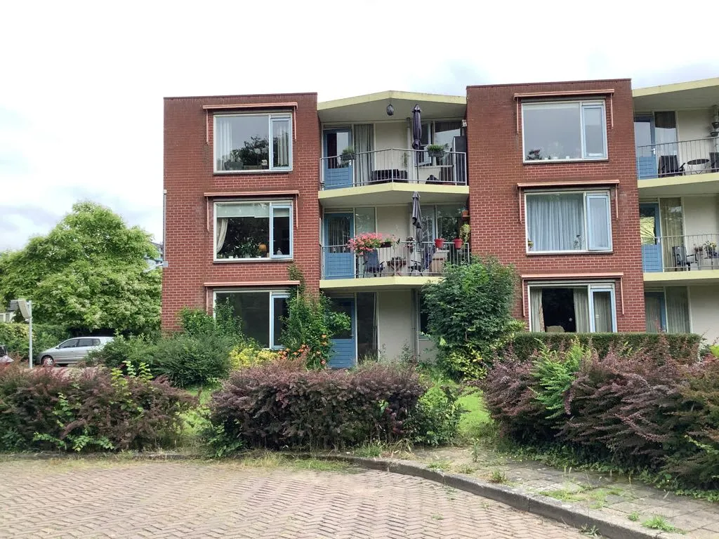 Ornsteinsingel