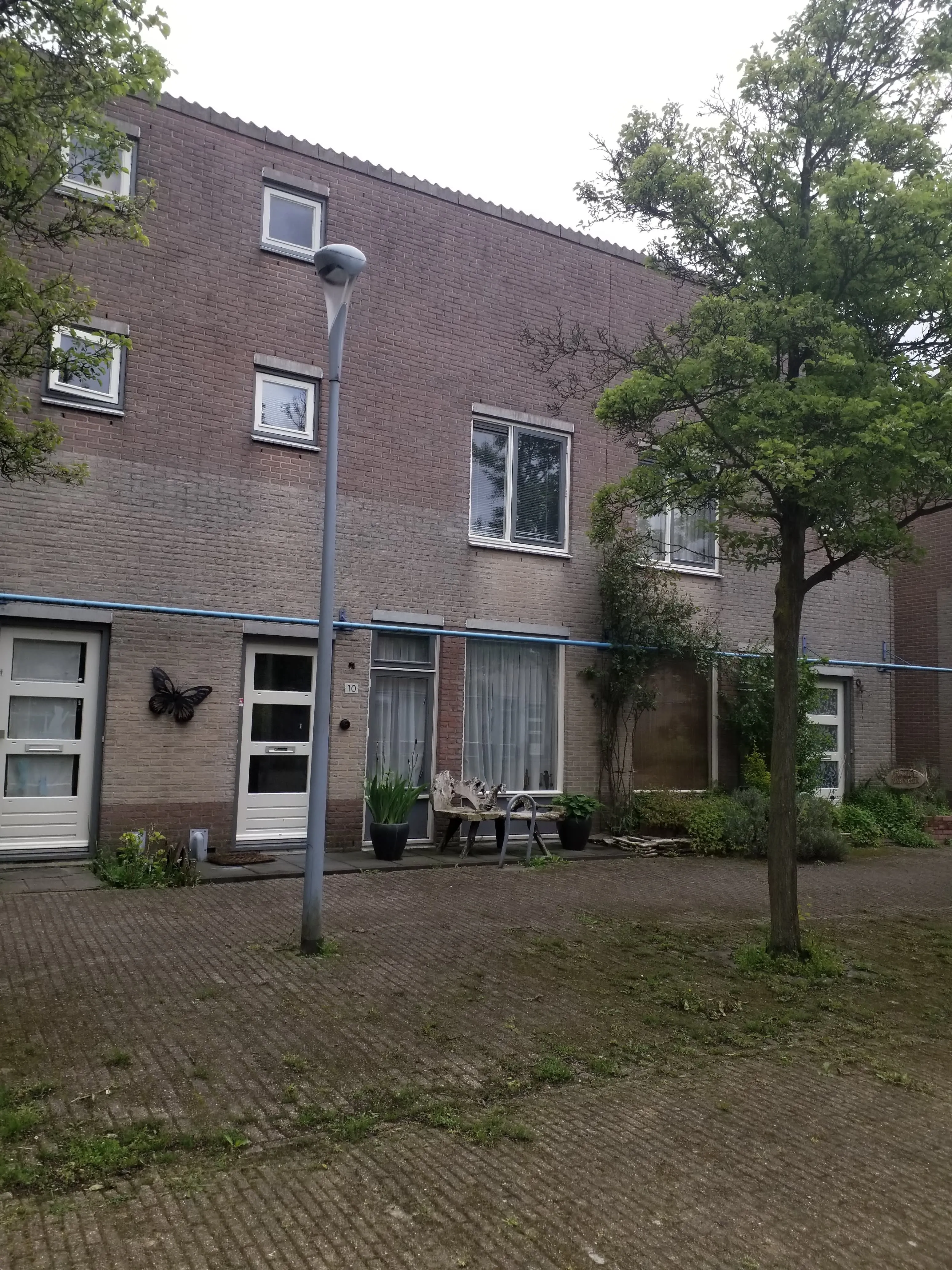 Anna Reynvaanhof