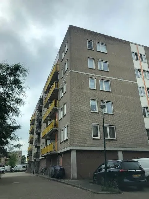 Bisonspoor
