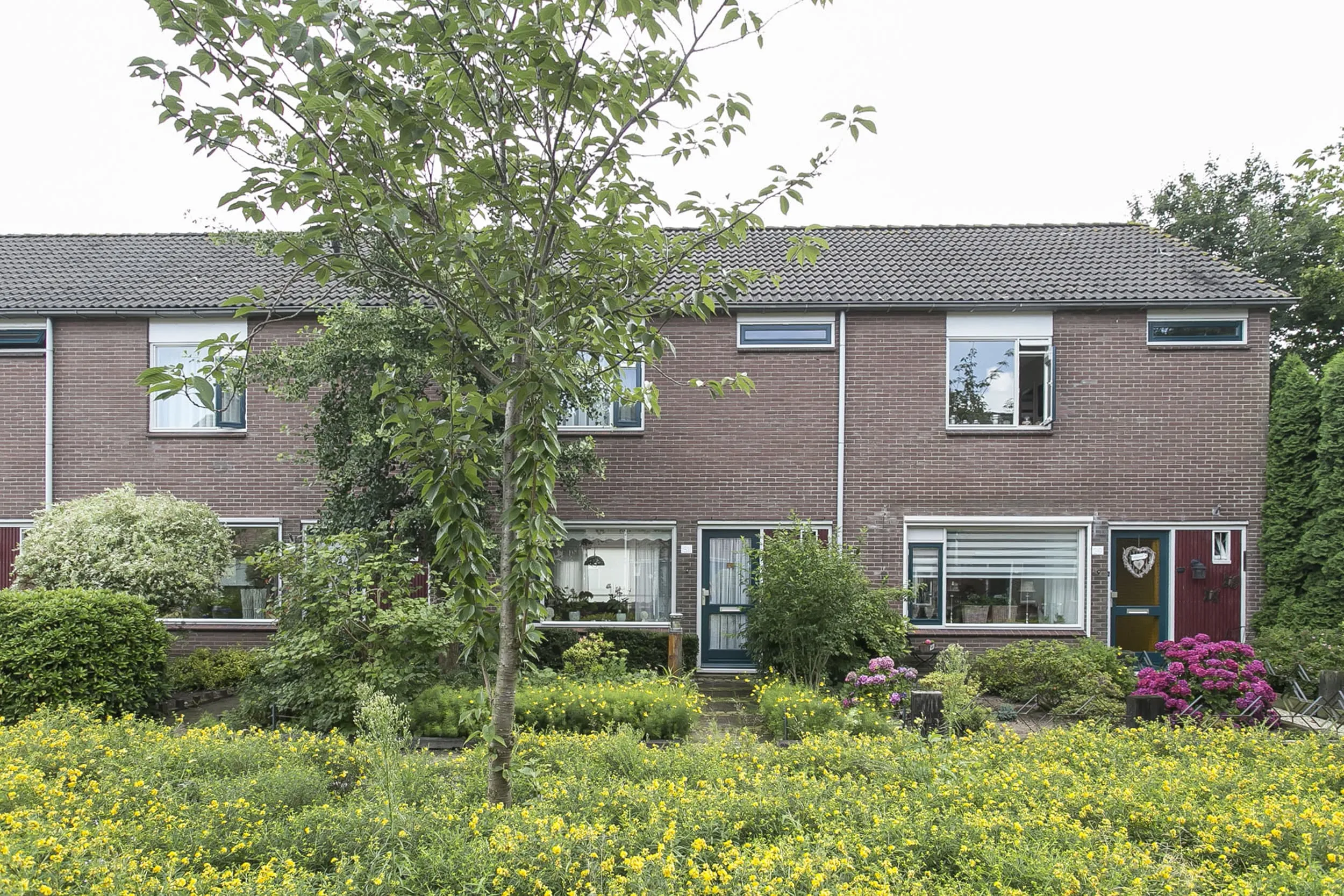 Buizerdlaan