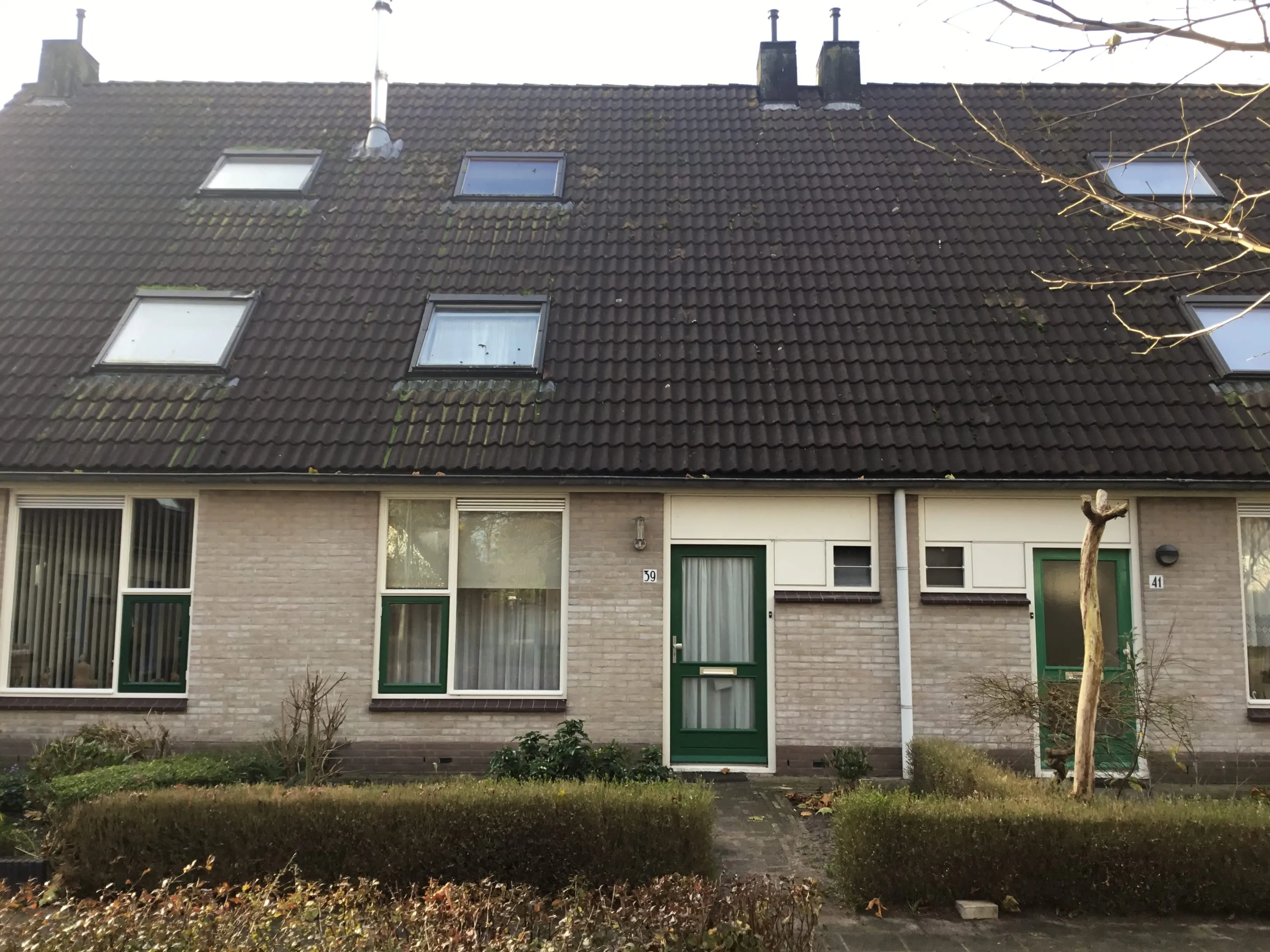 Platanenlaan