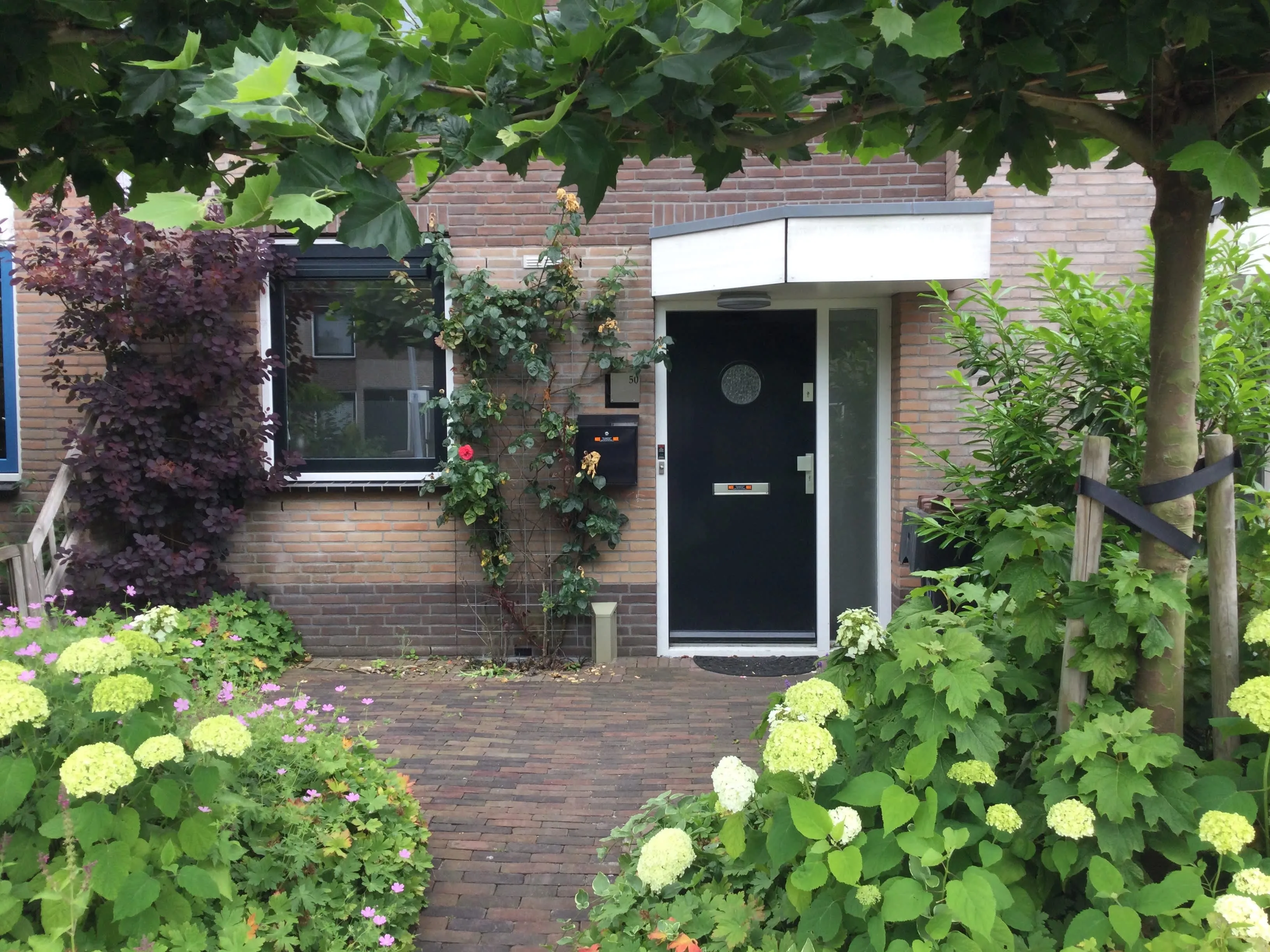 Waltmanstraat