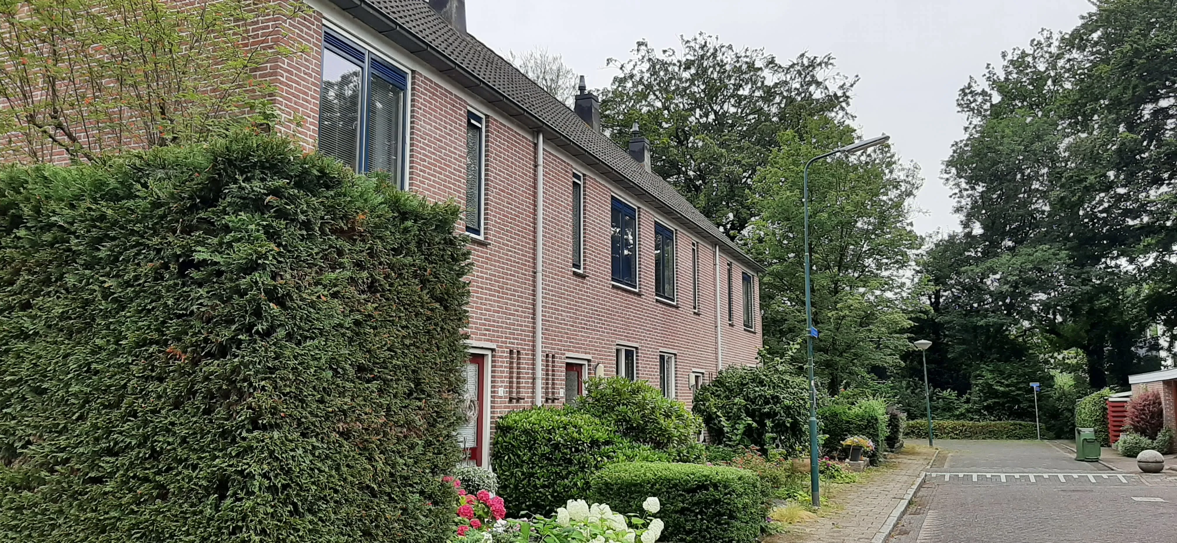 Kruisbes