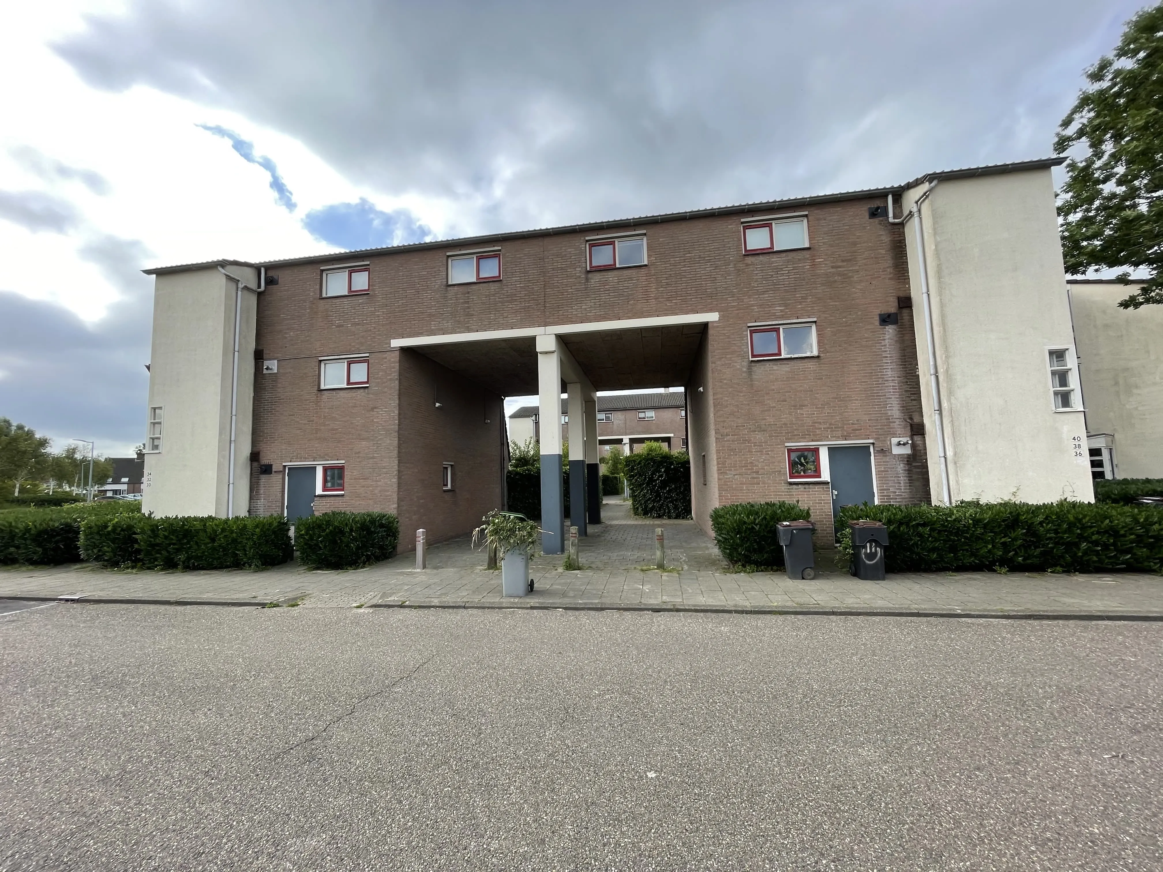 Tolheksbos