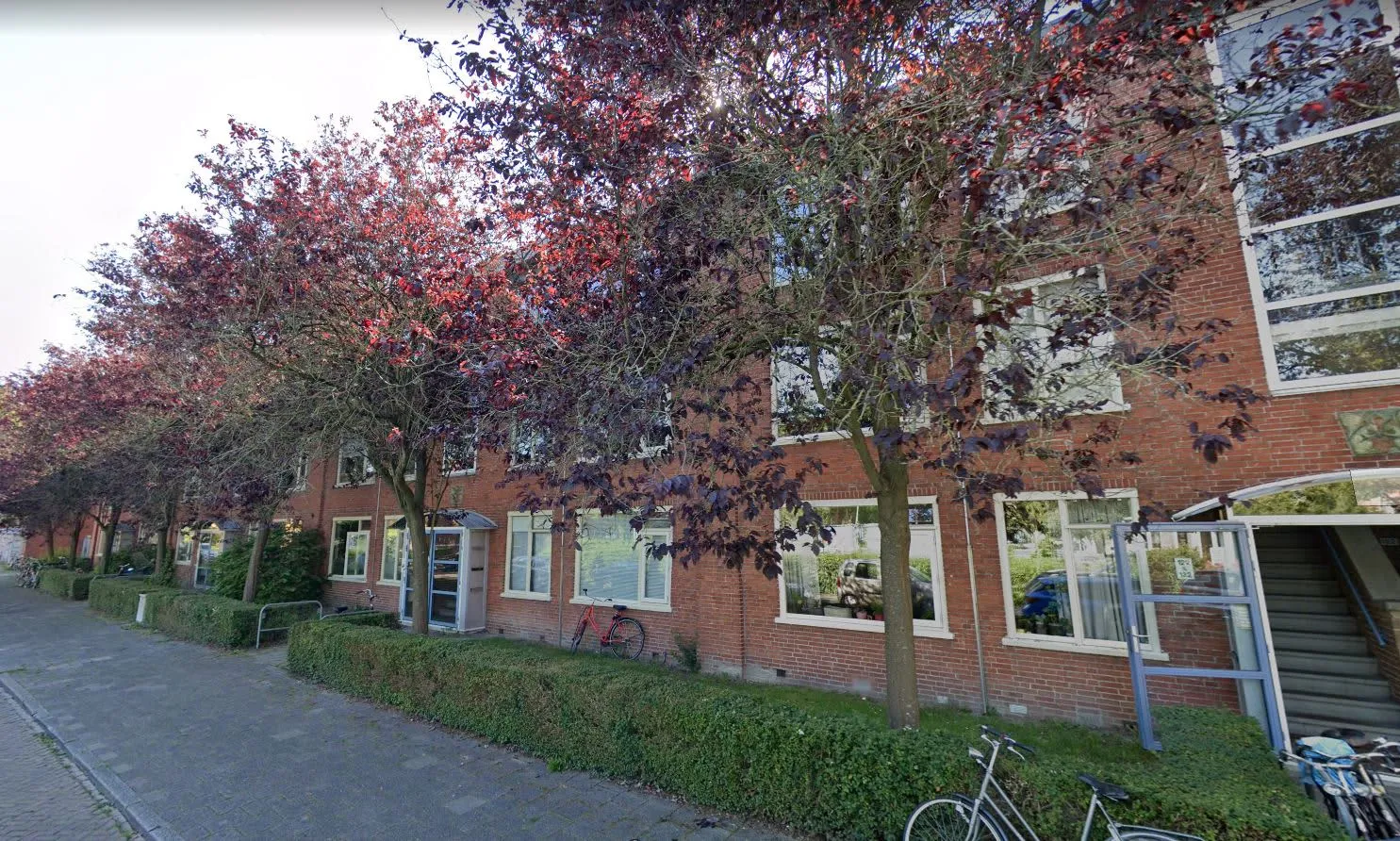 Van Slingelandtstraat