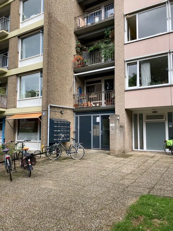 Ornsteinsingel