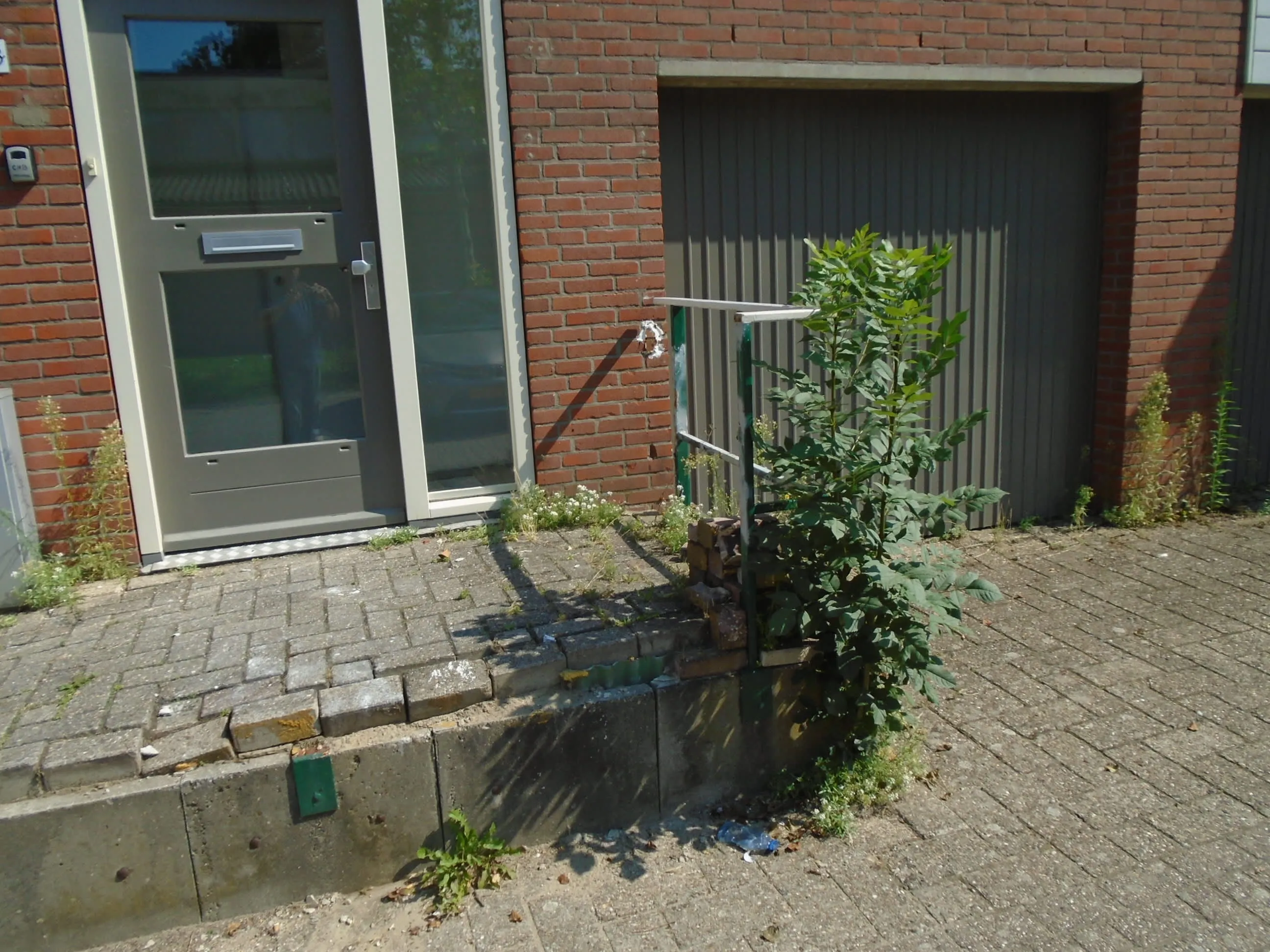 Ooievaar