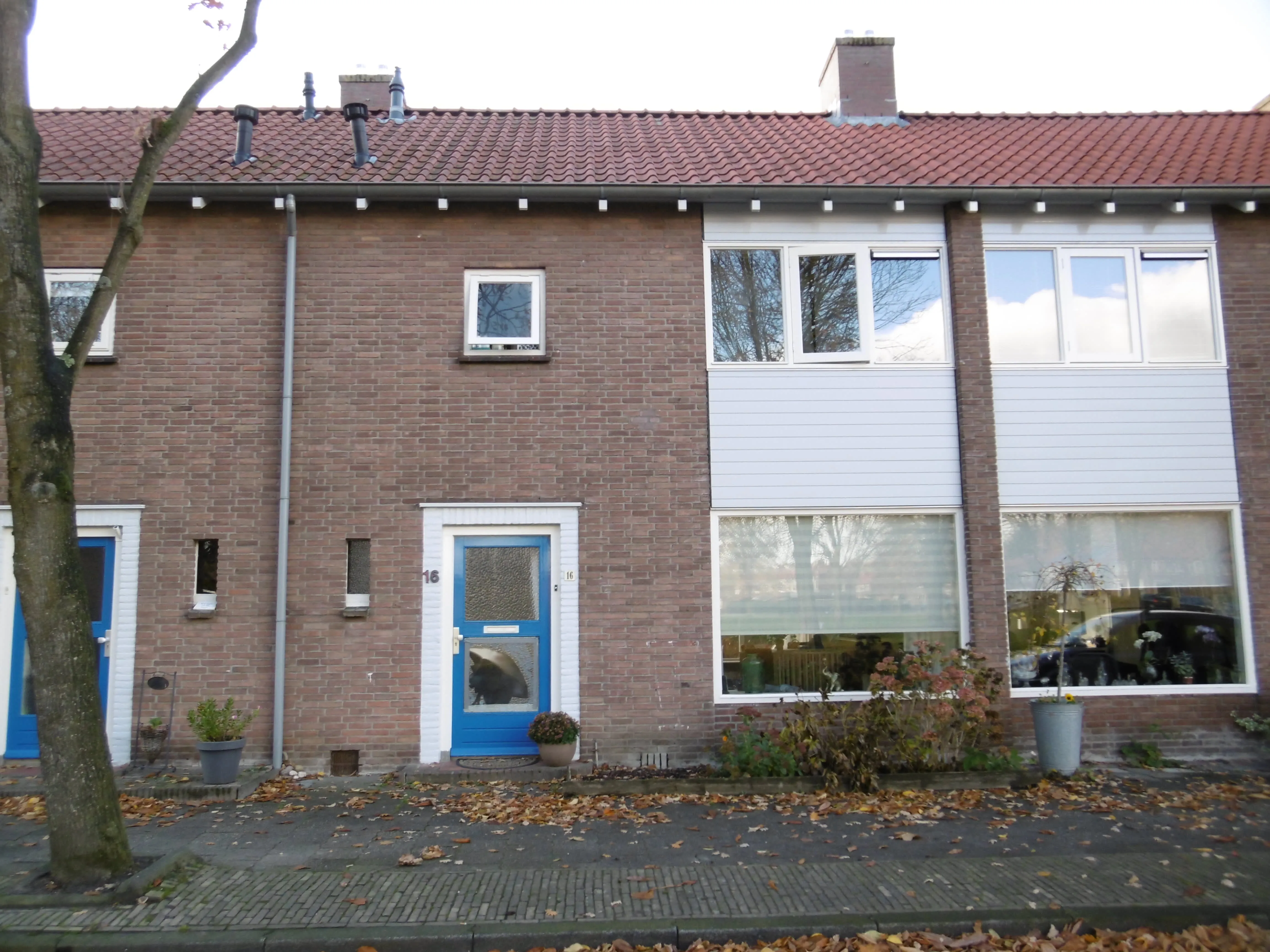 Koggestraat