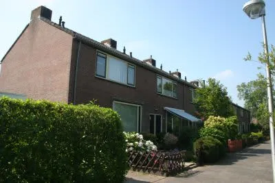 Kamperfoelielaan