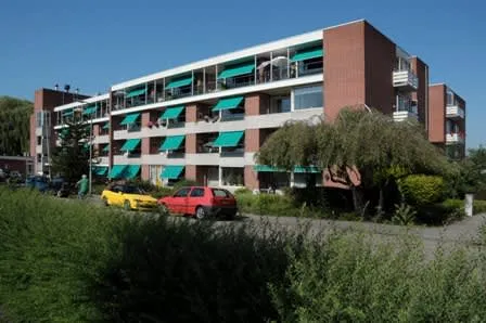 Rijngaarde