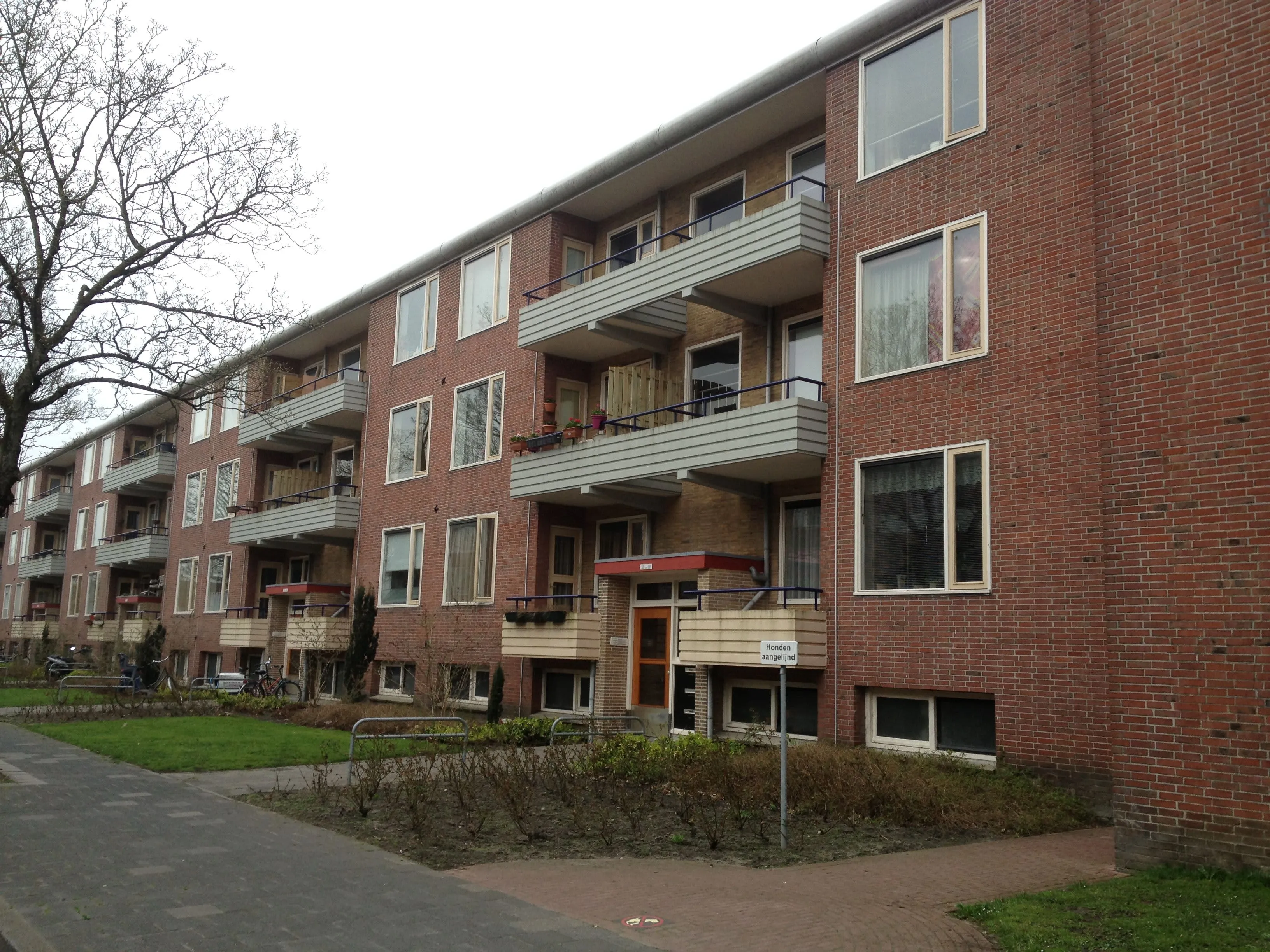 Gerard Doustraat