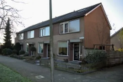 Roerdomp
