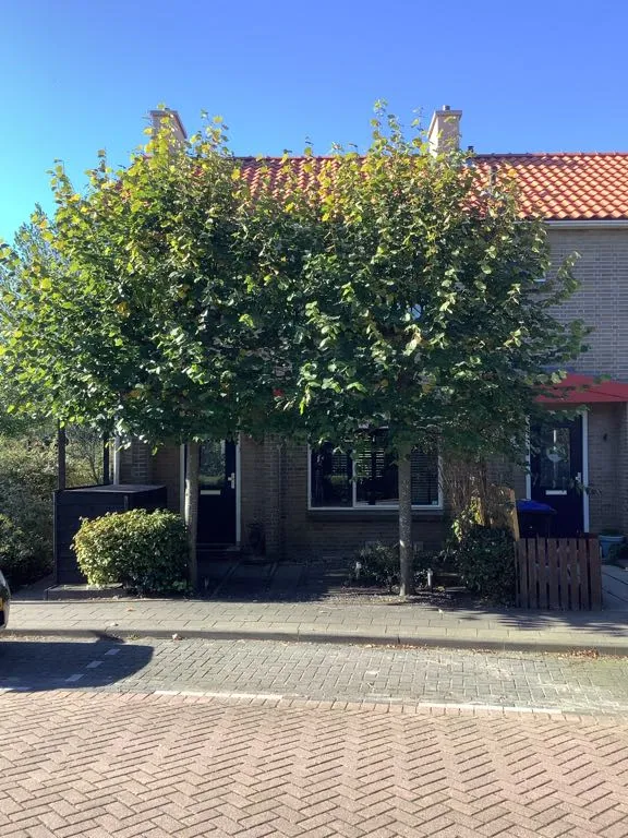 Lindelaan