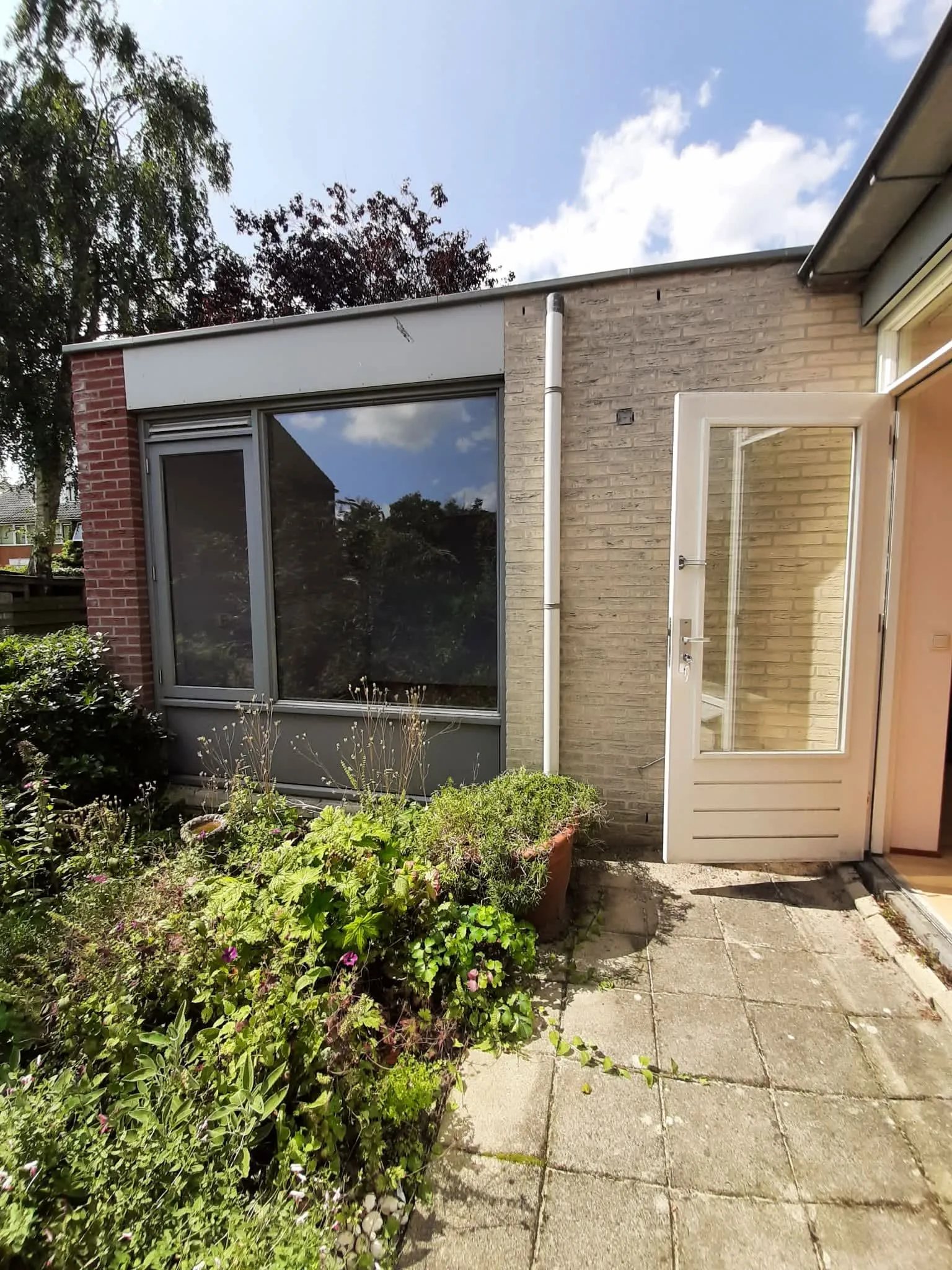 Professor Kouwerstraat