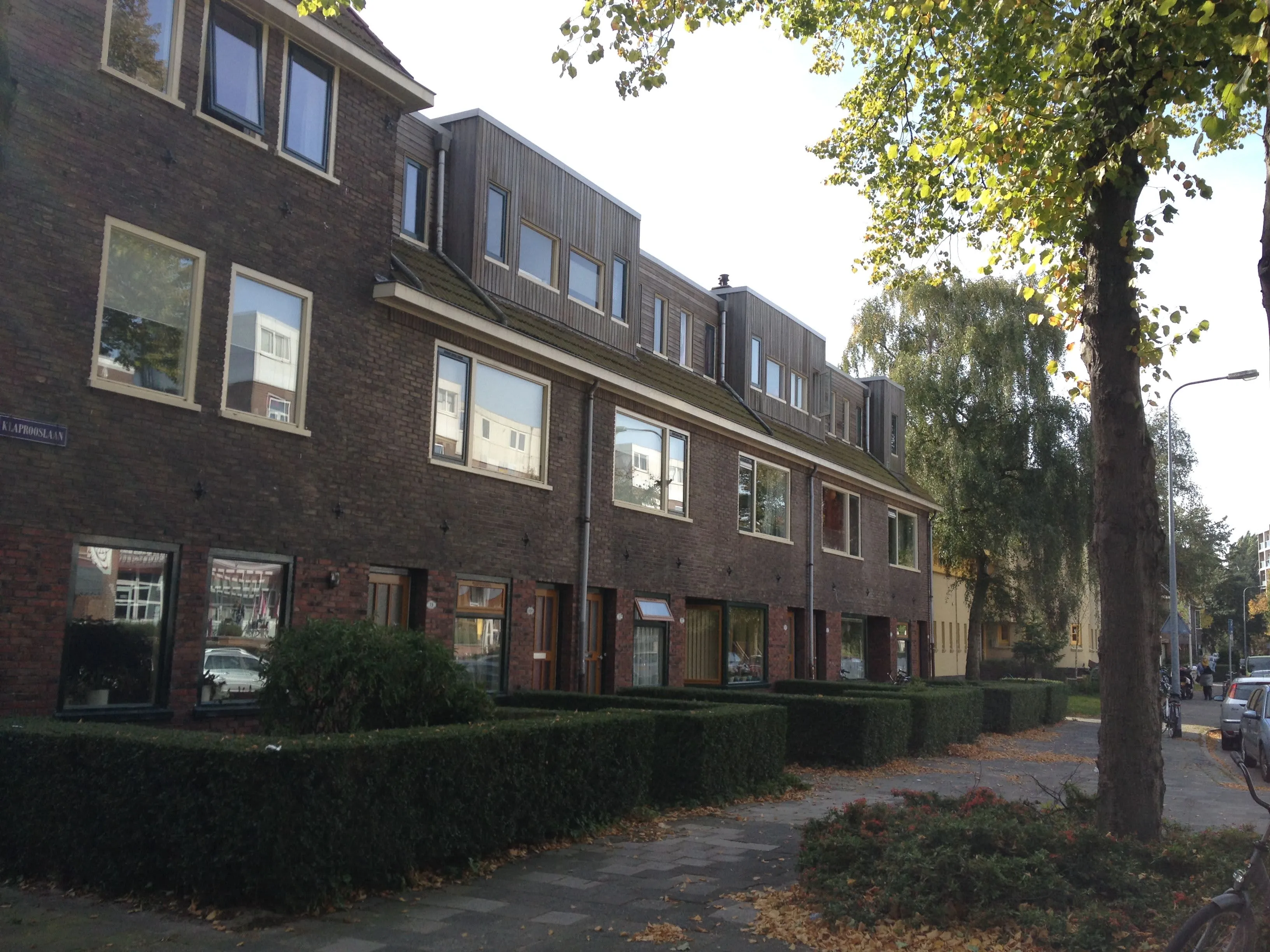 Anemoonstraat