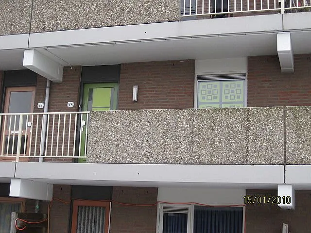 Goudriaanstraat