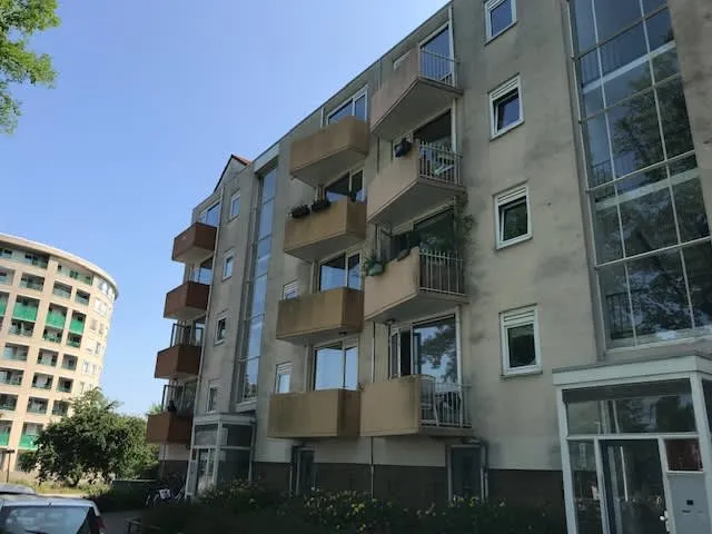 Schonauwensingel