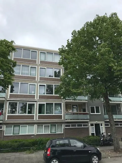 Marco Pololaan