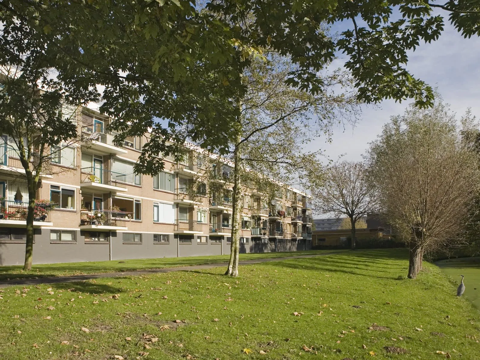 Schorpioenstraat