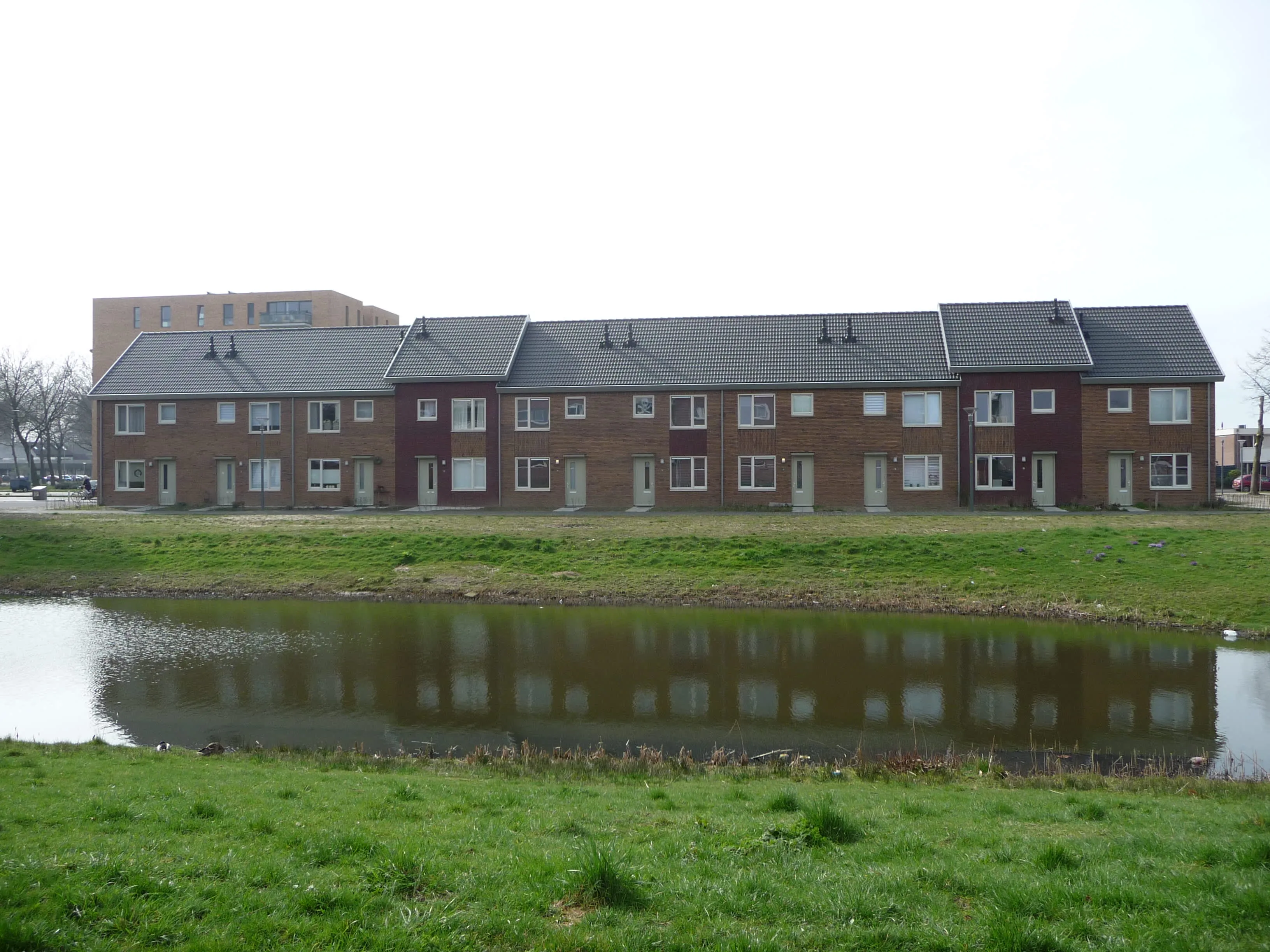 Raaphorst