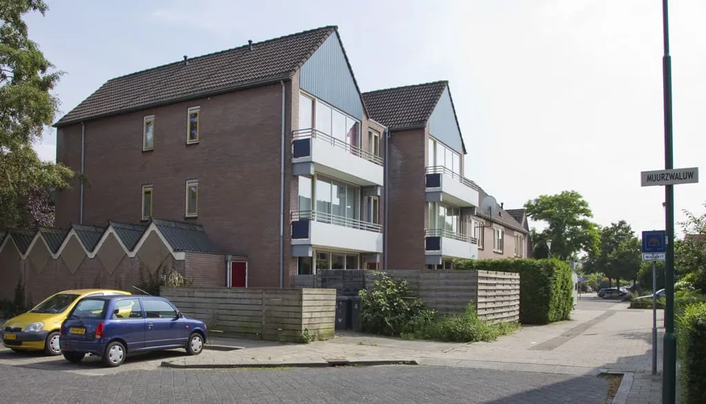 Nachtzwaluw