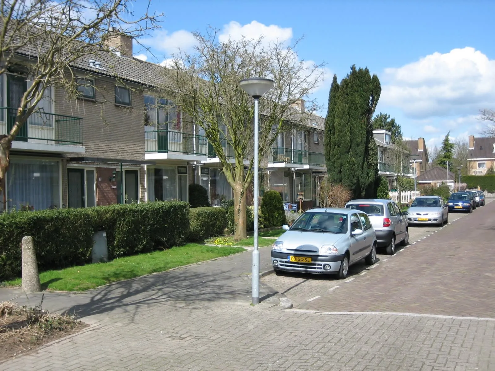Goudenregenstraat