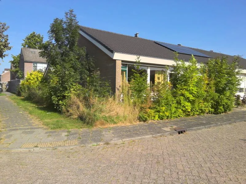 Donkere Gaard