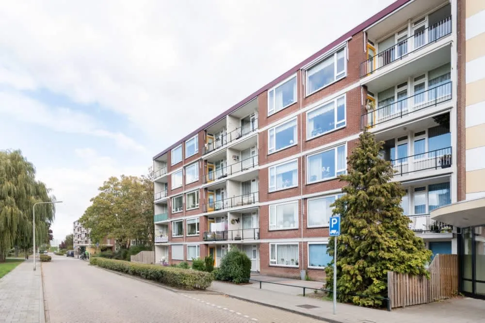 Rijnstraat
